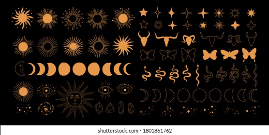 Set of alchemy esoteric mystical magic celestial icons, sun, moon phases, stars, sacred geometry isolated. Spiritual animals butterfly, snake, skull of bull occultism. Vector illustrations outline