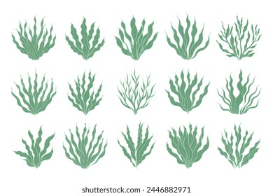 Set of algae or coral reefs. Collection of underwater plants. Set of seaweed icons. Illustration. Vector