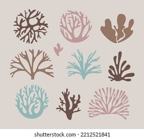 A set of algae , corals and mosses , living vegetation in delicate colors