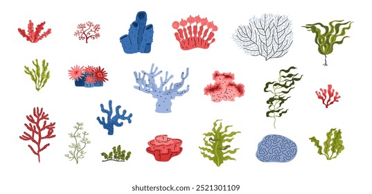 Set of algae and corals. Red and green seaweed. Reef. Inhabitants of the deep sea. Part of the ocean ecosystem. Underwater world. Vector illustration isolated on white background.