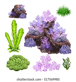 The set of algae, corals and underwater rocks isolated on white background. Vector illustration.
