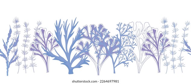 A set of algae. Kelp. Vector stock illustration. Seamless pattern, endless ornament, horizontal border. Aquarium, underwater world. The bottom of the sea. 