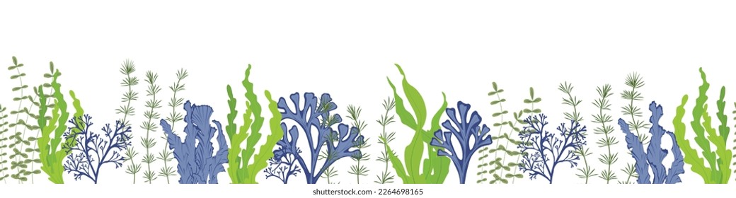 A set of algae. Kelp. Vector stock illustration. Seamless pattern, endless ornament, horizontal border. Aquarium, underwater world. The bottom of the sea. 