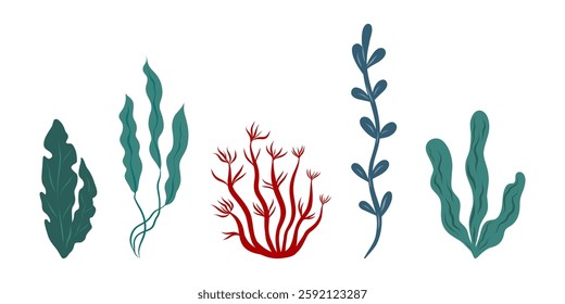 Set of algae, seaweed different shapes and colors, vector illustration