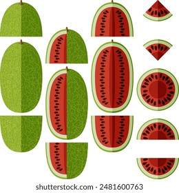 Set of Ali Baba Watermelon. Citrullus lanatus. Fruits and vegetables. Flat style. Isolated vector illustration.