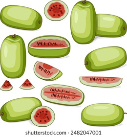 Set of Ali Baba Watermelon. Citrullus lanatus. Fruits and vegetables. Clipart. Isolated vector illustration.