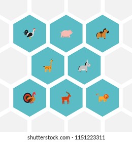 Set of alive icons flat style symbols with deer, giraffe, cock and other icons for your web mobile app logo design.