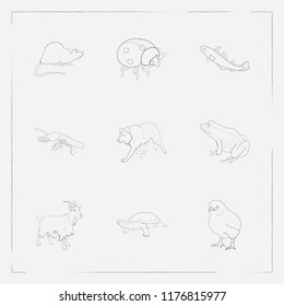 Set of alive icons line style symbols with rat, turtle, wolf and other icons for your web mobile app logo design.