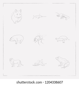 Set of alive icons line style symbols with pig, fly, frog and other icons for your web mobile app logo design.