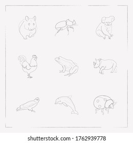 Set of alive icons line style symbols with eagle, dolphin, hamster and other icons for your web mobile app logo design.