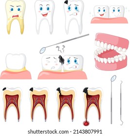 Conjunto de todos los tipos de dientes en la ilustración de fondo blanco
