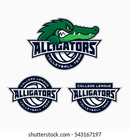 Set of alligator mascot for a volleyball team. Vector illustration.