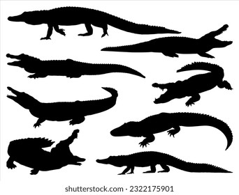 Set of Alligator Silhouette Vector Art