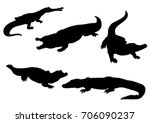 Set of Alligator Silhouettes - Vector Illustration