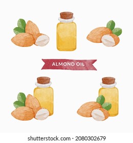 Set Of Almond Design Elements, Almond Oil, Watercolour Style Vector Illustration