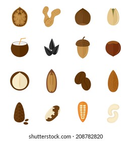 Set of almond hazelnut coconut sunflower seeds and nuts in flat style vector illustration