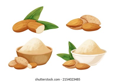 Set almond in nutshell with leaves detailed raw nut, almond powder in bowl organic product, ingredient in cartoon style isolated on white background. Ripe plant, snack.