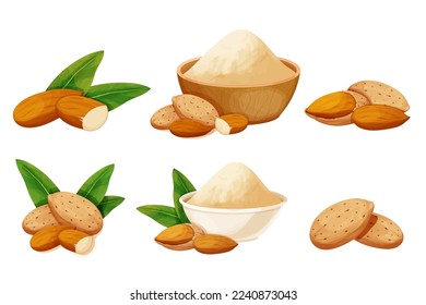 Set almond in nutshell with leaves detailed raw nut, almond powder in bowl organic product, ingredient in cartoon style isolated on white background. Ripe plant, snack.