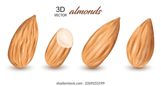 set of almonds design template on the white background.vector illustration design element.