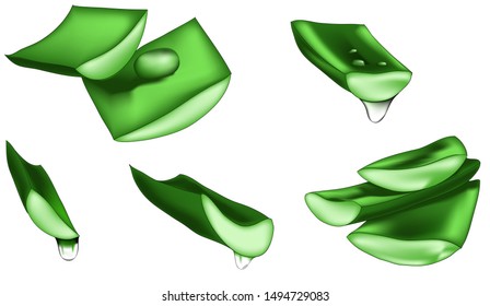 Set of aloe vera with cut pieces with fresh drops of water isolated vector illustration