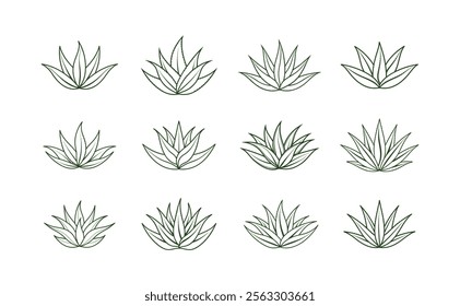 Set of Aloe Vera design vector line art clipart on white background.