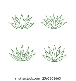 Set of Aloe Vera design vector line art clipart on white background.