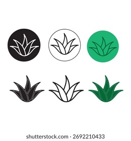 set of aloe vera icon vector