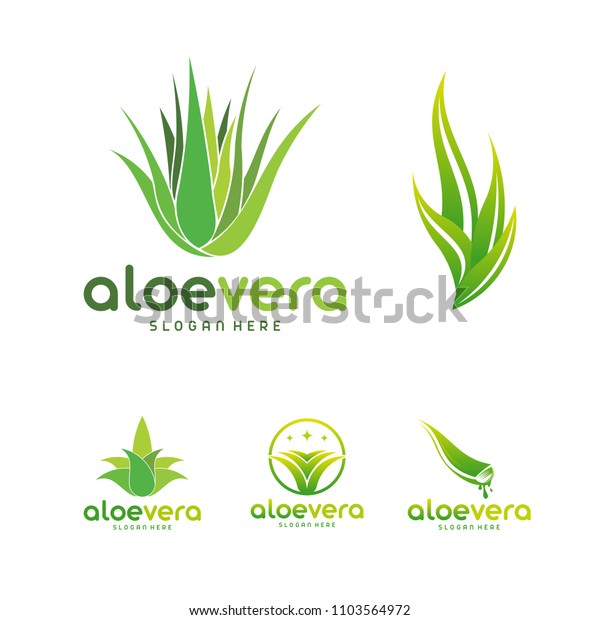 Set of Aloe Vera logo template. Green leaf aloe\
vera label