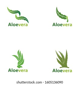 Set Aloe vera logo vector illustration template