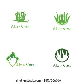 Set of Aloe vera logo vector illustration template