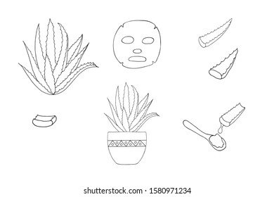 Set from the aloe vera plant, aloe vera in a pot, cut leaves, its juice, cosmetic mask. Isolated on white, vector illustration hand drawn.