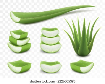 Conjunto de Aloe Vera, planta verde realista, hojas y trozos cortados, aislados en fondo transparente, 3d ilustración vectorial. Diseño de productos de cuidado de la piel con etiqueta de envase de plantilla.