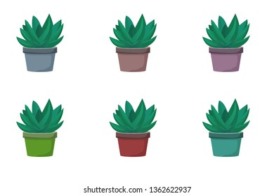 Set of Aloe vera vector illustration on white background. Green leaf aloe vera.  Potted plant white background. Isolated vector illustration.