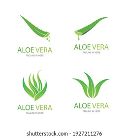 Set of aloevera logo template vector icon concept
