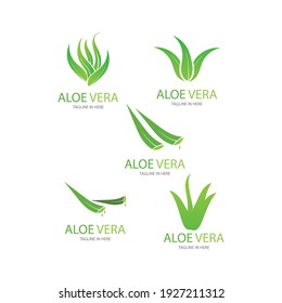 Set of aloevera logo template vector icon concept