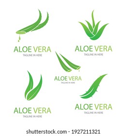 Set of aloevera logo template vector icon concept
