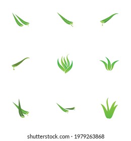 Set of aloevera logo template vector icon concept