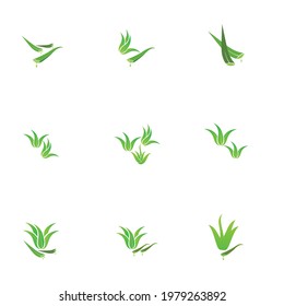 Set of aloevera logo template vector icon concept