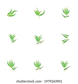 Set of aloevera logo template vector icon concept