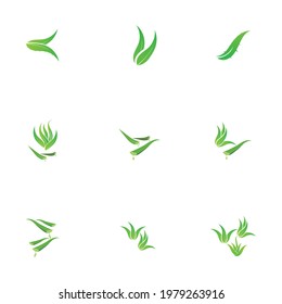 Set of aloevera logo template vector icon concept
