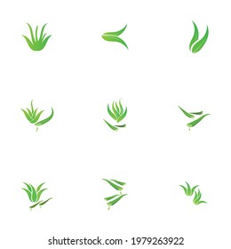 Set of aloevera logo template vector icon concept