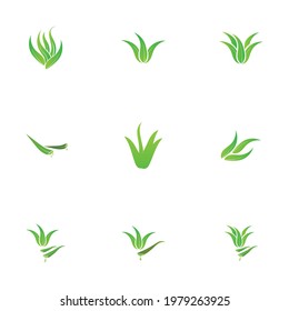 Set of aloevera logo template vector icon concept
