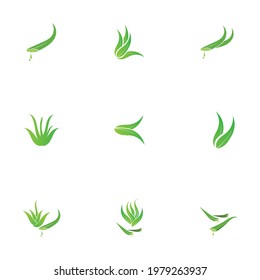 Set of aloevera logo template vector icon concept