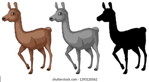 Set of alpaca character illustration
