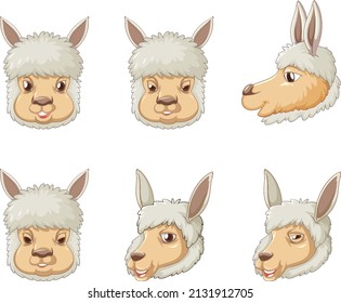 A set alpaca on white background illustration