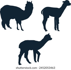 Set Of Alpaca Silhouette Vector