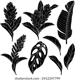 Set of alpinia purpurata exotic ginger flower and tropical plants silhouettes. Vector illustration