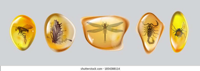 Set amber stone with insects isolated on white background. Collection of ancient and modern insects frozen in amber. Petrous resin for design. Gemstone or mineral bubble.Stock vector illustration