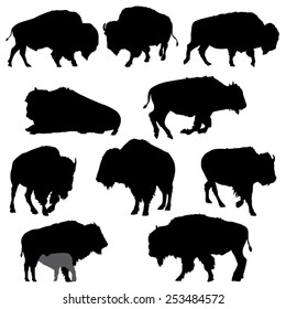 Set of American Bison Silhouettes- Vector Image