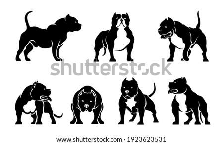 Set of American Bully dog illustrations - isolated vector 